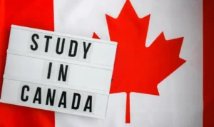 Du học Canada 2025: Có nên chọn chương trình Co-op không? Phân tích từ A đến Z cho sinh viên Việt Nam