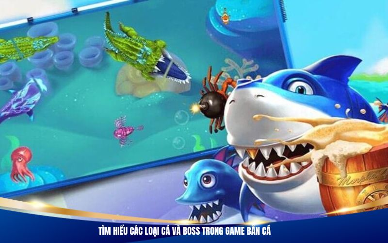 Tìm hiểu các loại cá và boss trong game bắn cá