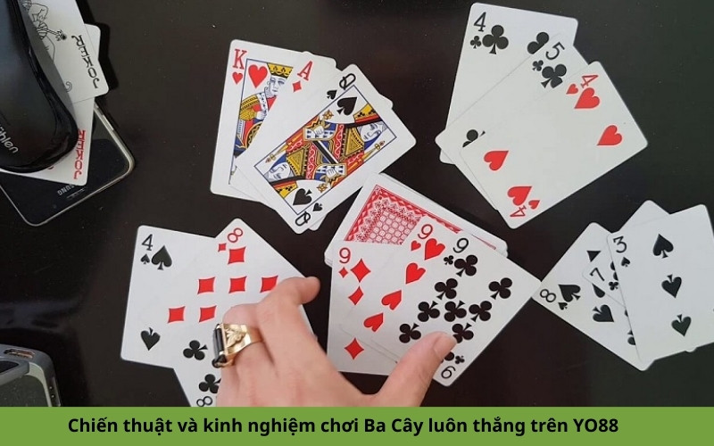 Chiến thuật và kinh nghiệm chơi Ba Cây luôn thắng trên YO88
