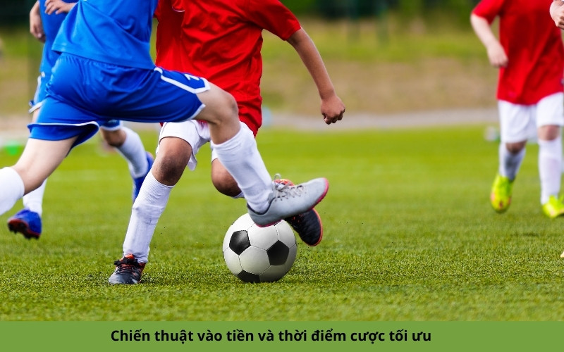 Chiến thuật vào tiền và thời điểm cược tối ưu