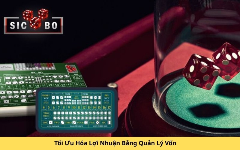 Tối Ưu Hóa Lợi Nhuận Bằng Quản Lý Vốn
