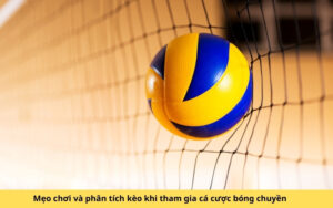 Mẹo chơi và phân tích kèo khi tham gia cá cược bóng chuyền